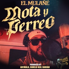 Mota y Perreo
