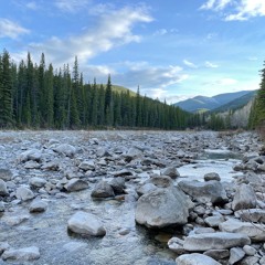 Elbow River Rivulet 220602 - T018 Usi Pro 96/24 Zoom F8n