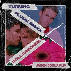 Collarbones - Turning (Flume Remix) (Jason Cogua Flip)