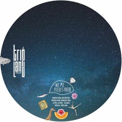 No Me Puedes Parar - Trip Land