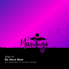 Alex H - Be Here Now (Dave Martin Remix) [Masvingo Recordings]