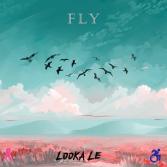Fly