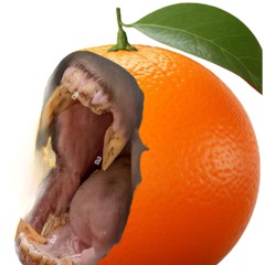 "Nya!!" (Original song)