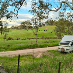 Moksha Gathering Saturday 2025