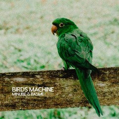 Minube, Basme - Birds Machine (Bandcamp Exclusive)