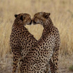 ‎⁨محمد عبده :  التمني والتوجد والسهر