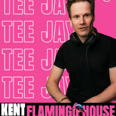 Tee Jay live @ FLAMINGO HOUSE - KENT Club Hamburg