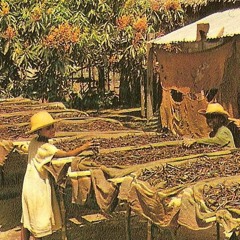 Dorothée, Don De Dieu