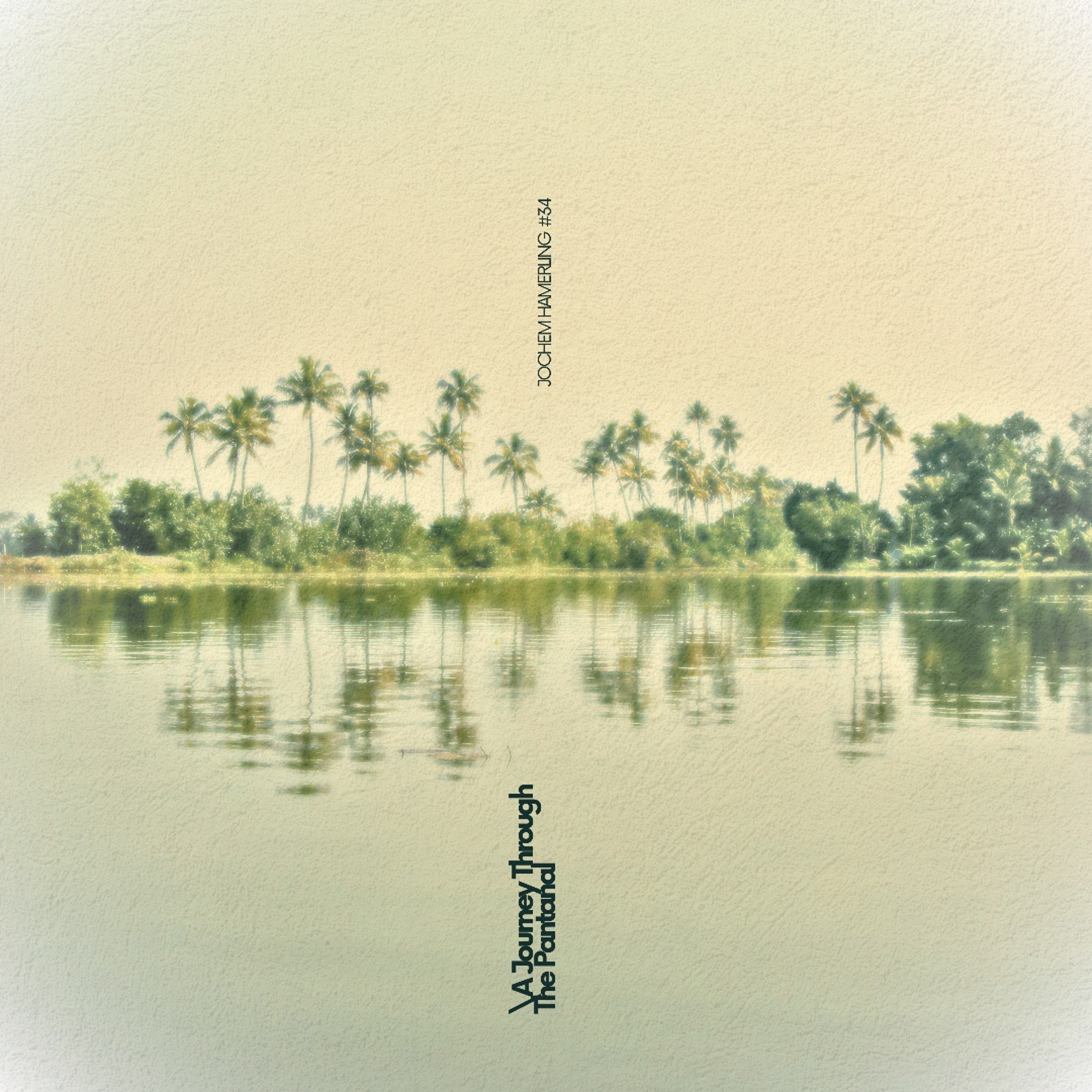A Journey Through The Pantanal  (Full Journey) episode artwork