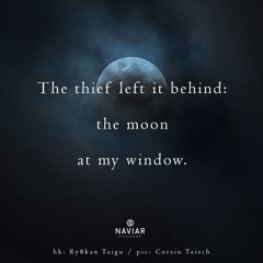 haiku #454: The thief left it behind: / the moon / at my window.
