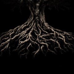 Shadows (Extended Mix)