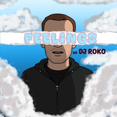Feelings-DJ Roko.wav