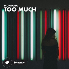 MONTANA - Too Much