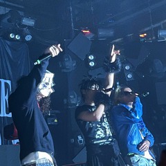 GTBSG