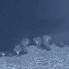 𝖎𝖓𝖘ᕦ𝖗𝖙