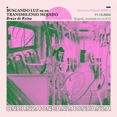SERIE 2: "Buscando Luz en un Transmilenio Mojado" por Brazo de Reina
