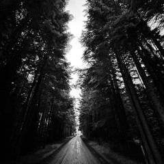 Analogue Whispers (Extended) [FREE DL]