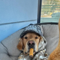 Pot Whip (prod. digrxte)