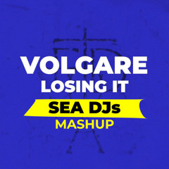FISHER, Tedua Ft. Lazza - Losing Volgare (SEA DJS Mashup)