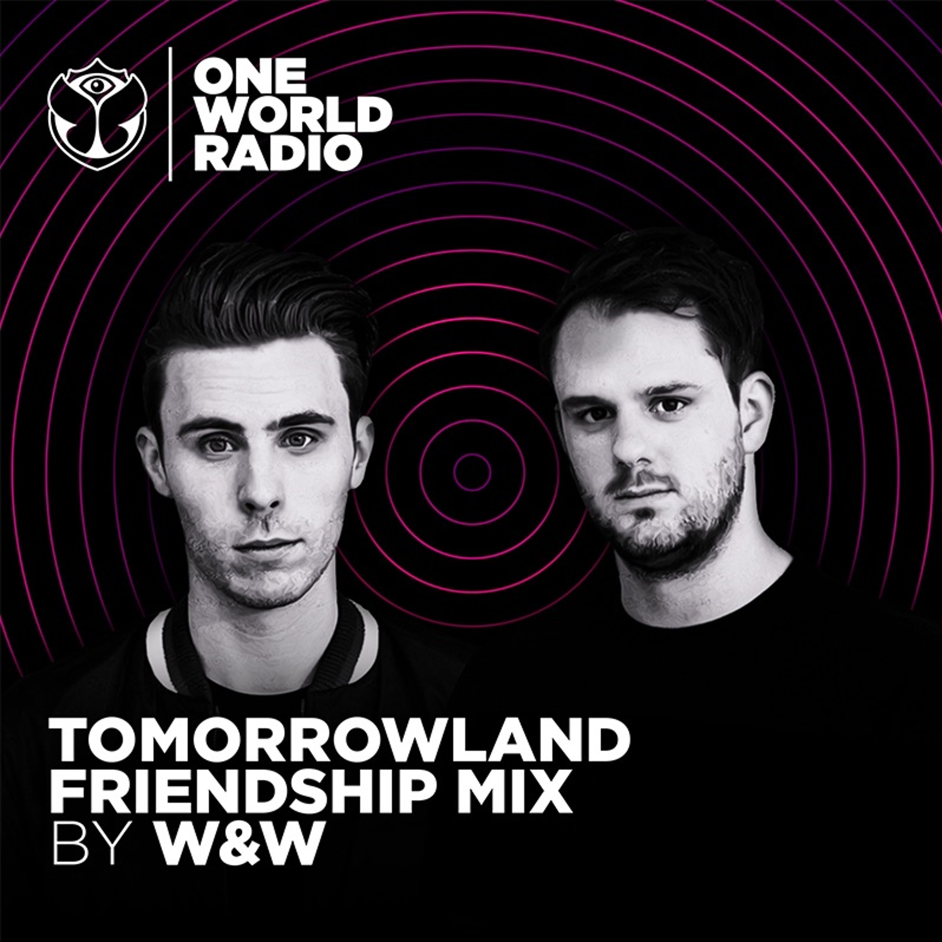 Tomorrowland Friendship Mix