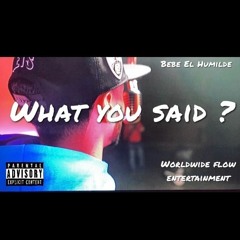What You Said (Freestyle)