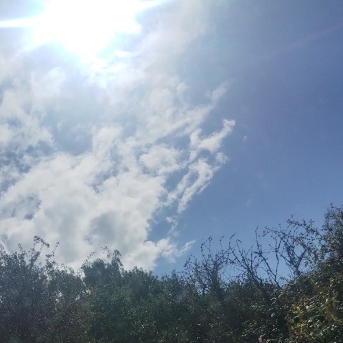 Aeroveil