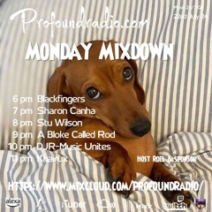 #186 Profound Radio  Progressive House  @djstuwilson