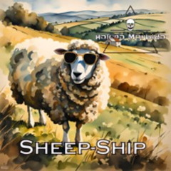 Sheep - Ship