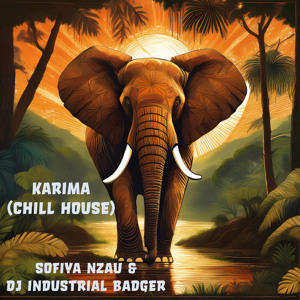 Karima (Chill House) [feat. DJ Industrial Badger]