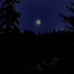 The Moon (Ft. Squal)