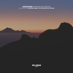 AudioStorm - The Trajectory of the Mind [3rd Avenue]