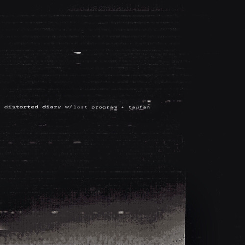 distorted diary w/ taufan