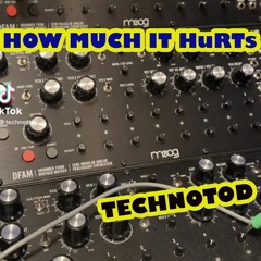 How Much (ItHurts) Original Mix TechnoTod