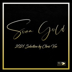 Soca Gold 2021 | Mix by Chris Vee x VP Records