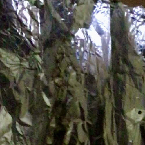 STE - 000