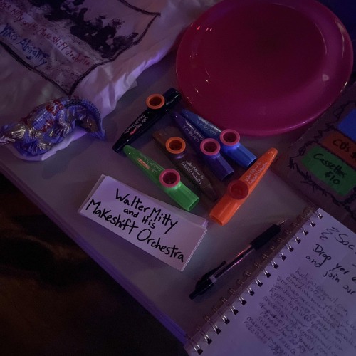I Just Wanted to Play the Kazoo for my Josie