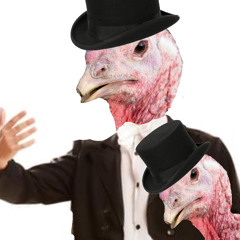 Turkeys in Tune