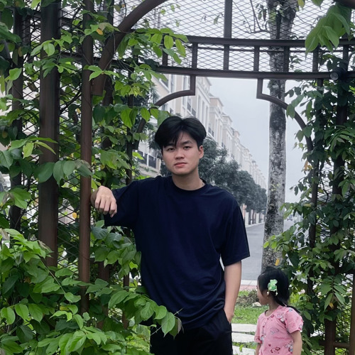 Hoa nở bên đường-Shinn remix