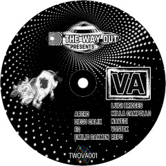 Naveci - Le Danz (TWOVA001)