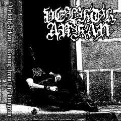 Lost in a jet-black forest