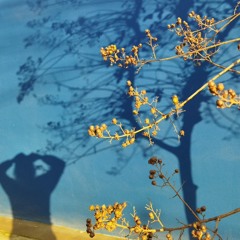 Ritual de fuego y viento