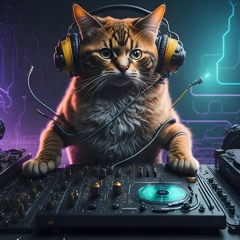 Mix 01