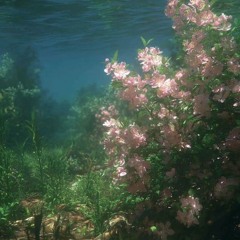 HAPPY - DAY6 (Cover)