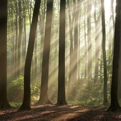 In Humility Our Savior