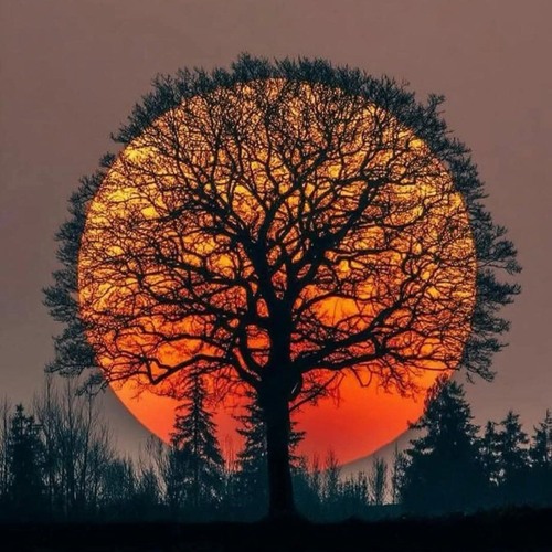 Techno Sun (Minimal)