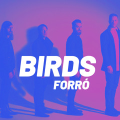 Imagine Dragons - Birds (VERSÃO FORRÓ)