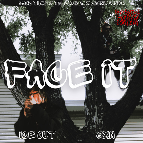 FACE IT - GXN x ICE (thadigitaldrumma x smokefusion)