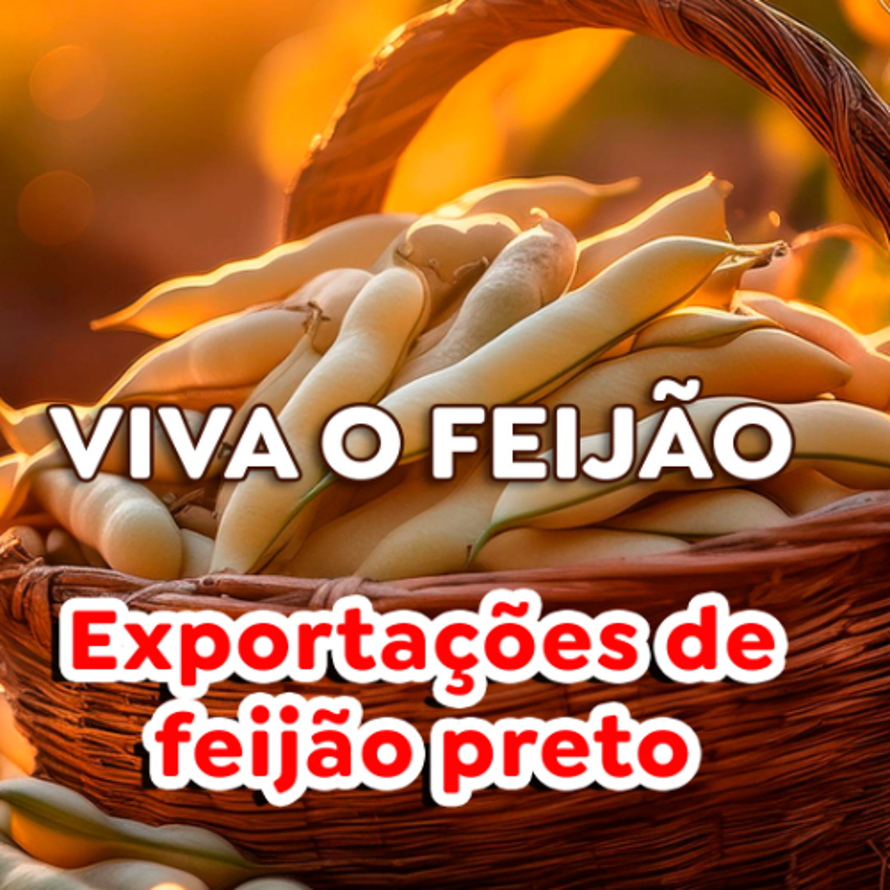 Paracatu Rural - Jornal do agronegócio