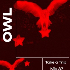 Take a Trip with Owl