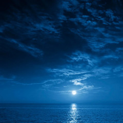 The Night Is Blue Again